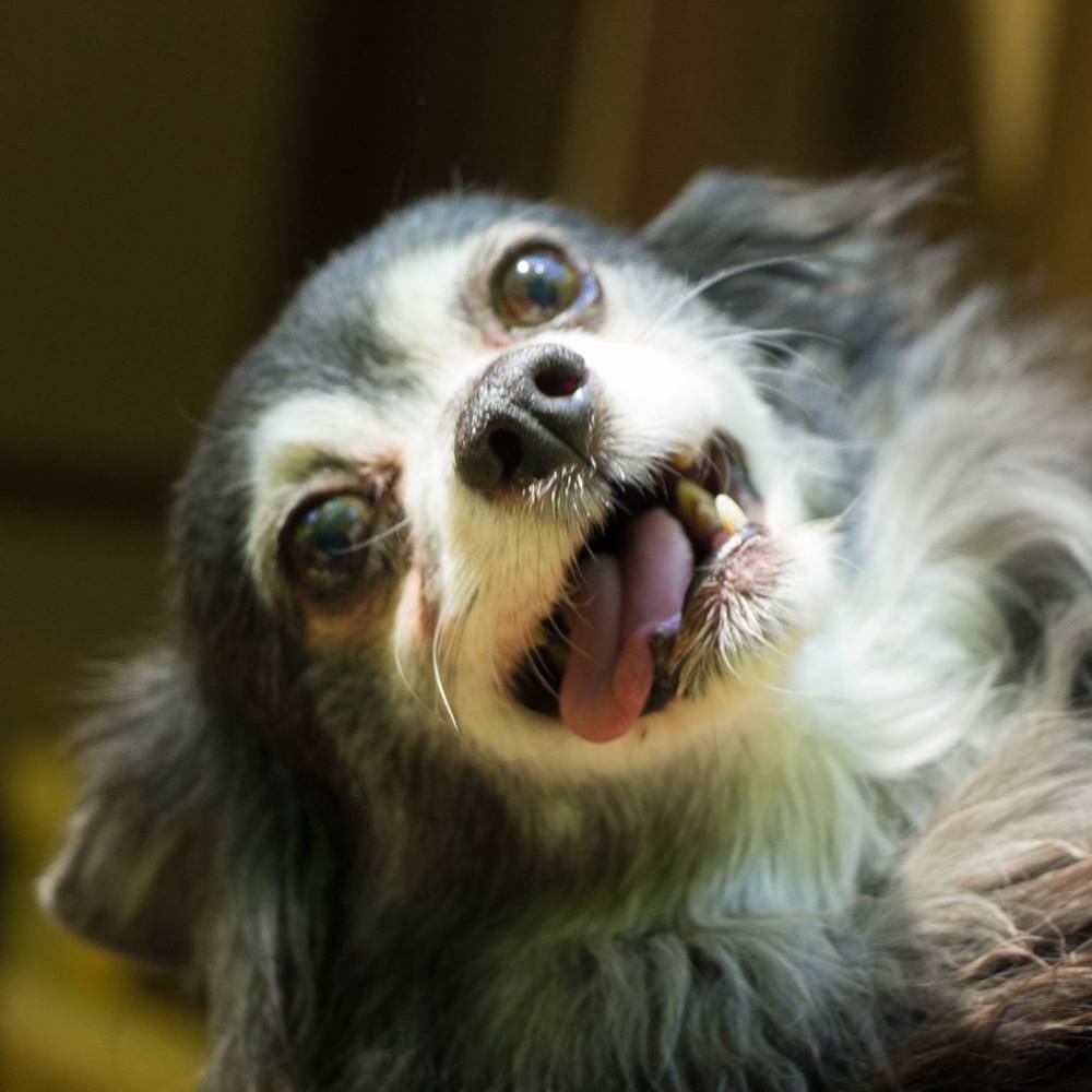 Meet your Posher, Zina